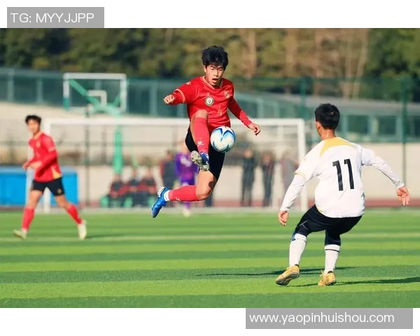 南京足球队实力强劲荣登全国足球力量排行榜第七名