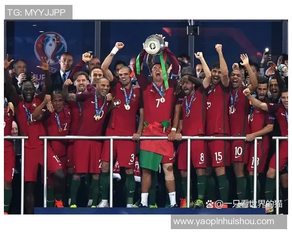 瑞士足球明星在欧洲杯上的精彩表现与未来展望